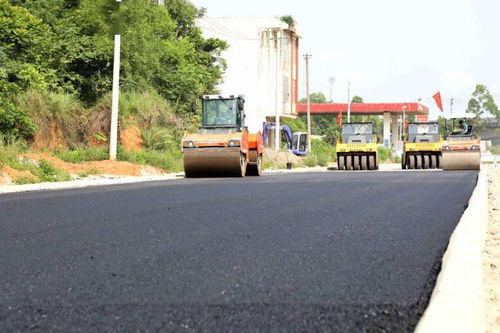 今年内通车 G358平南大安至镇隆公路工程建设稳步推进